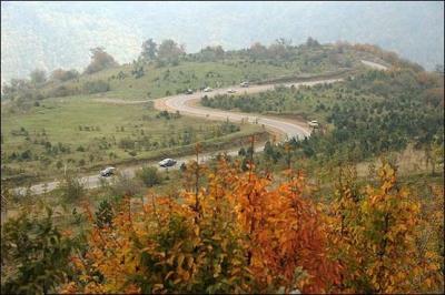 جنگل توسكستان