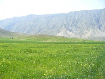 روستای گلستان(كاسكان)