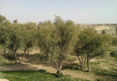 منطقه حفاظت شده سراج