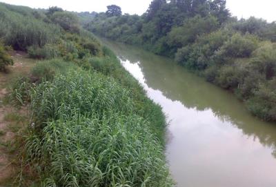 منطقه حفاظت شده رودخانه تجن