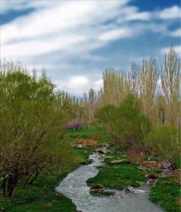 زنجانرود ( زنجان چای )