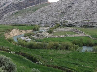 روستای دشمن زیاری