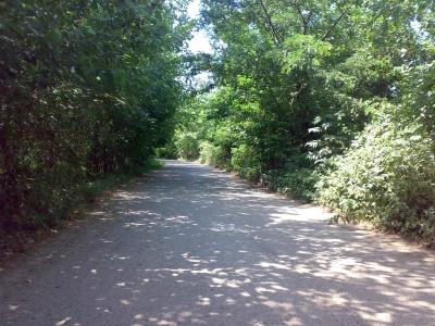 روستای صیقلان تولم