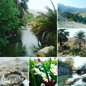 روستای چاه كبكان