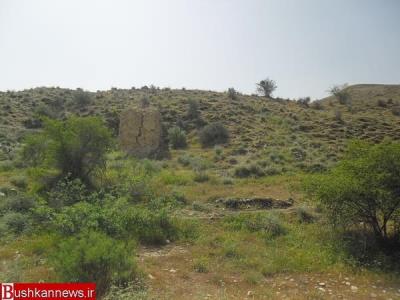 روستای شلدان