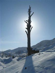 روستای آبیز