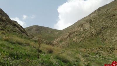روستای شیزند