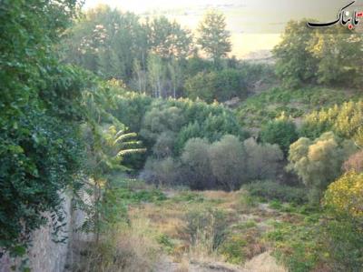 روستای صمغ آباد