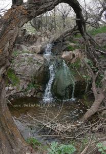 روستای پیله ورین