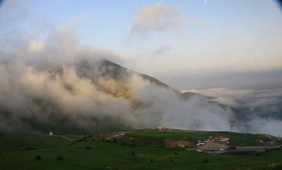 جنگل مشه