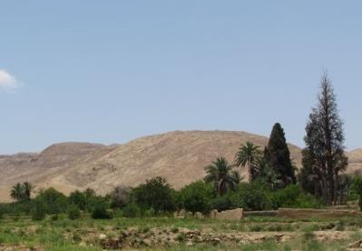 روستای اردیب