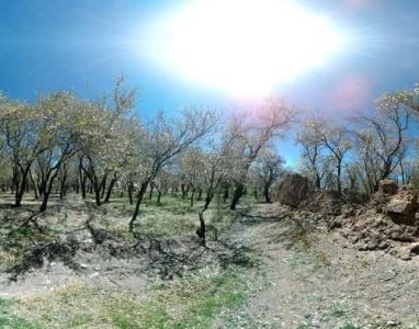 روستای بادافشان