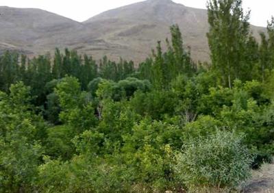 روستای آذران برزك