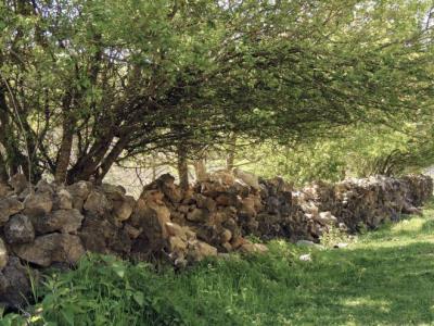 روستای كروچ وشرودان