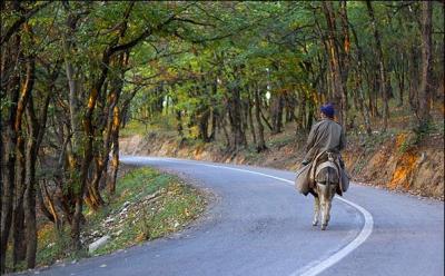 روستای لوه