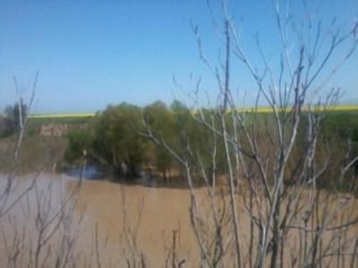 روستای بایلر