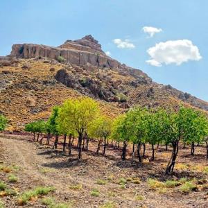 روستای سرخان