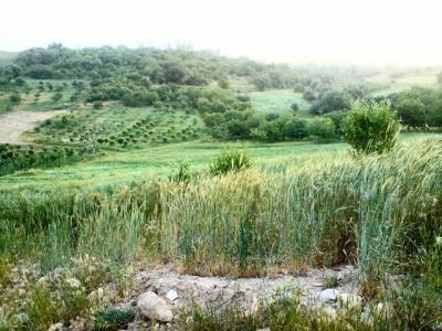 روستای خشتیانك