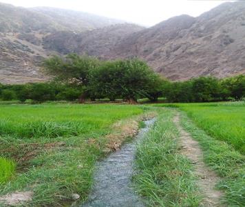 روستای سررك