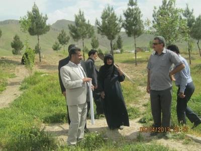 روستای تمرگ