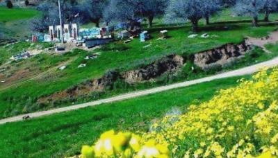 روستای منامن
