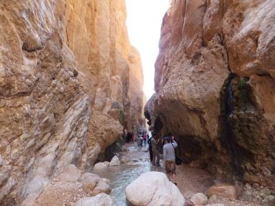دره كال سردر