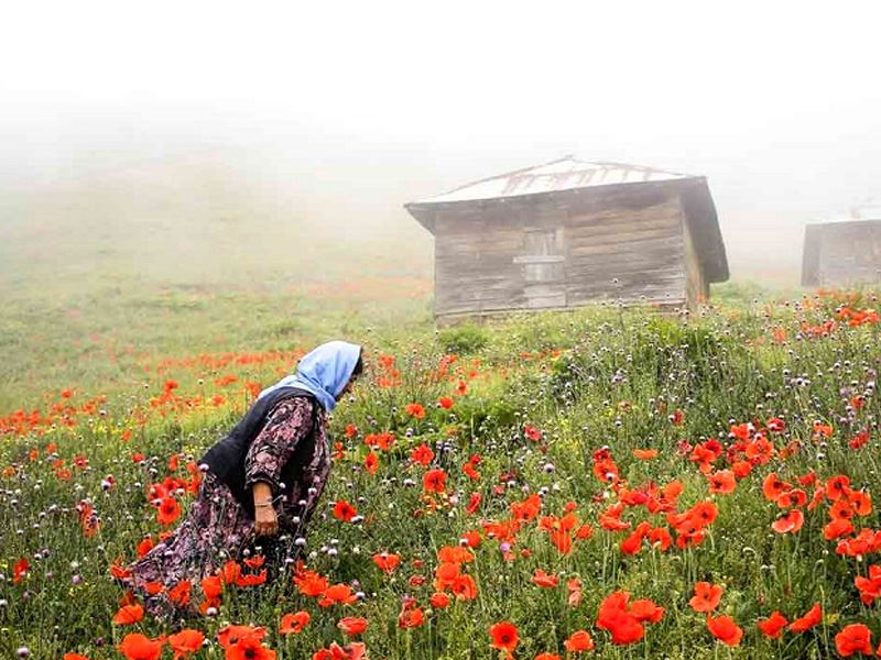 دشت میانه