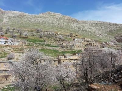 روستای مزیدی