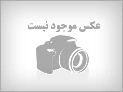 مسجد جامع آبشاهی