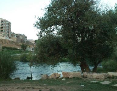 پارك ملت مهاباد