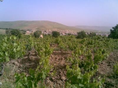 روستای سهنله