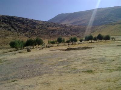 روستای سید شهاب صحنه