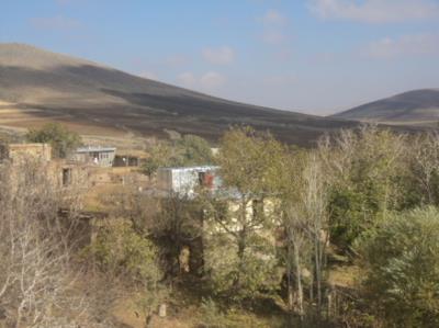 روستای قلی قلی