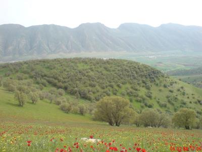روستای قمرالی چله