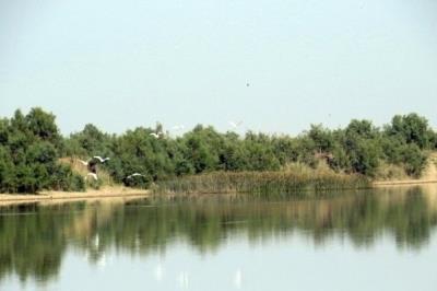 تالاب آق گل