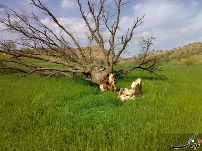 روستای رود ایك