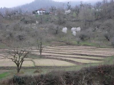 روستای جوكندان بزرگ