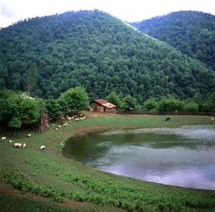 روستای دیگه سرا