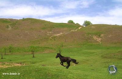 روستای لمیر