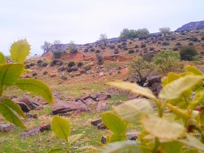 روستای دهنو مركزی