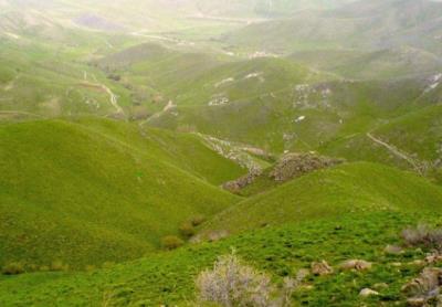 سارال