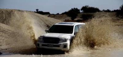 سافاری كیش