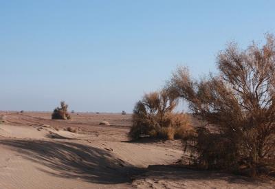 كویر دق سرخ