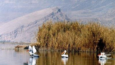 دریاچه قوبی
