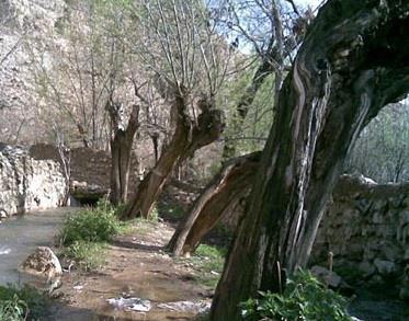 روستای باباعلی