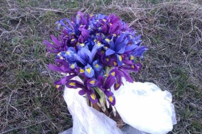 روستای باللوجه میرك