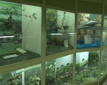 موزه جانور شناسی همدان