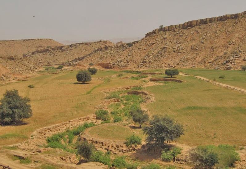 منطقه حفاظت شده كرایی-01HI0y5Tts
