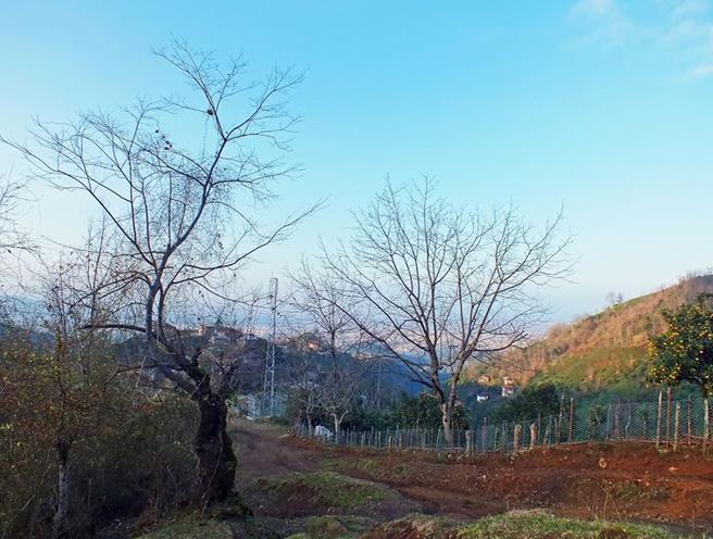 روستای سی سرا رودسر-01XDWOYQzI