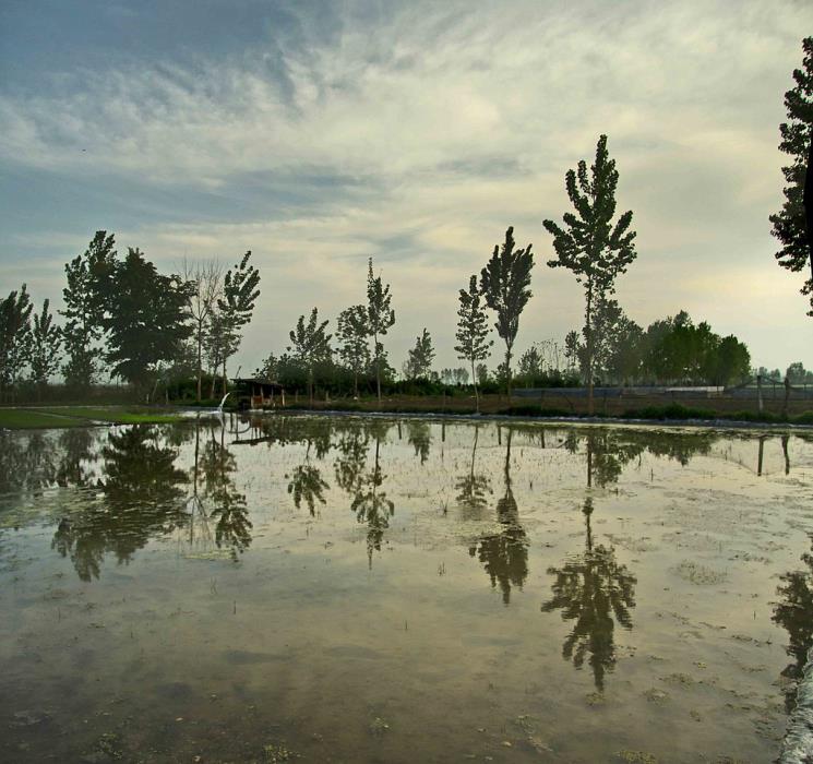 روستاهای محمود آباد ( ۸۶ روستای محمود آباد )-03ksGMSBIj